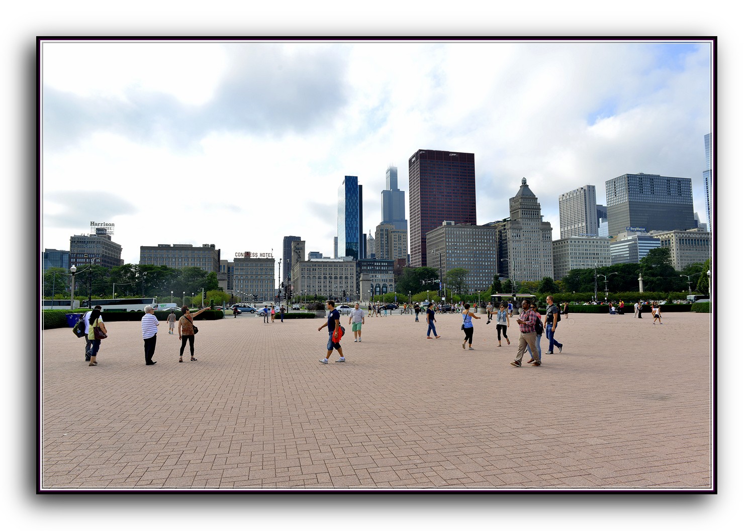 DSC_9206.jpg