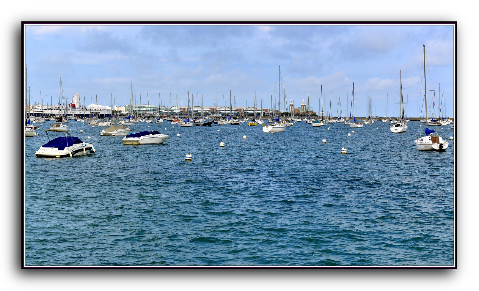 DSC_9234.jpg
