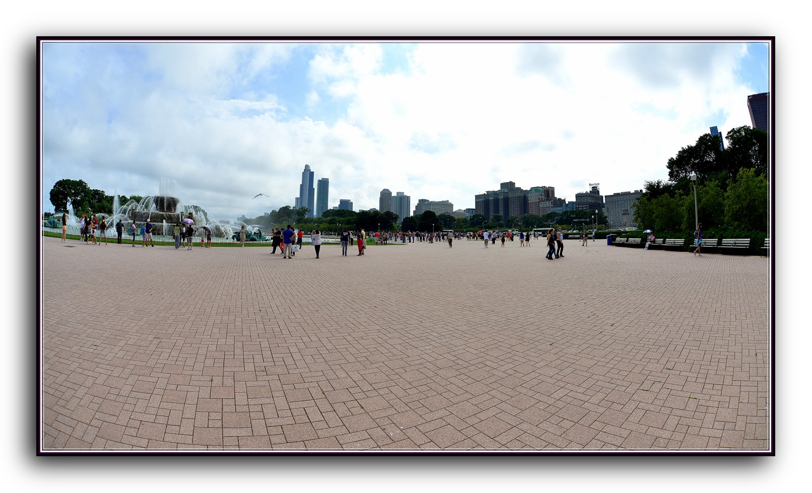 DSC_9194.jpg