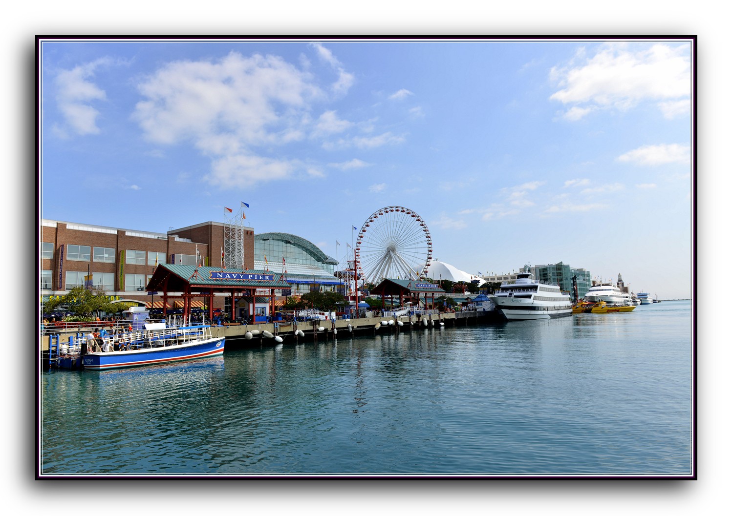 DSC_9815.jpg
