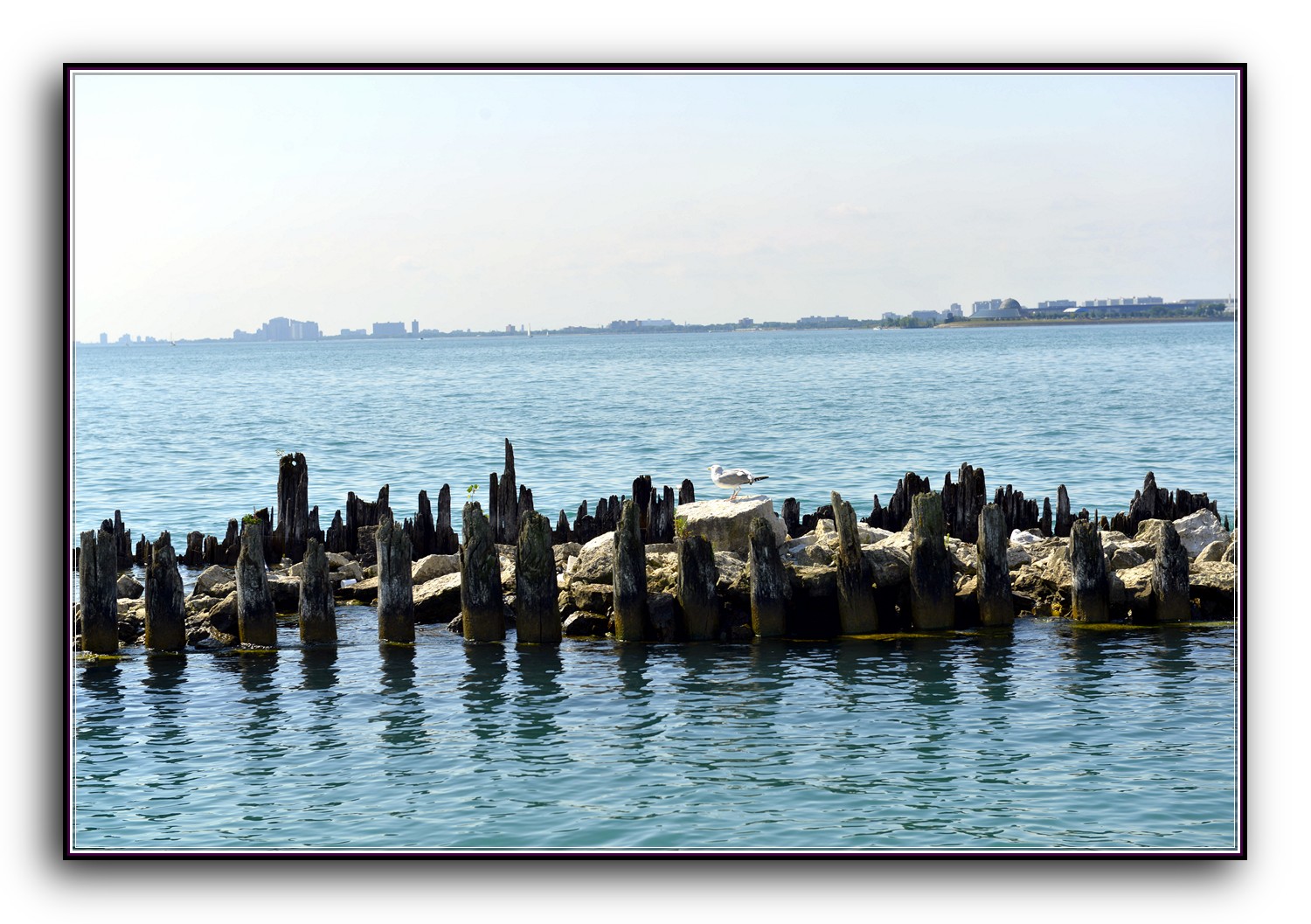 DSC_9766.jpg