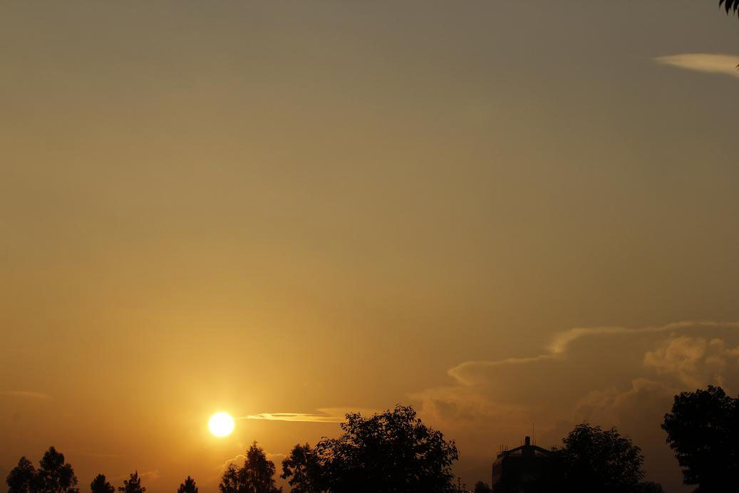 _MG_4442.JPG