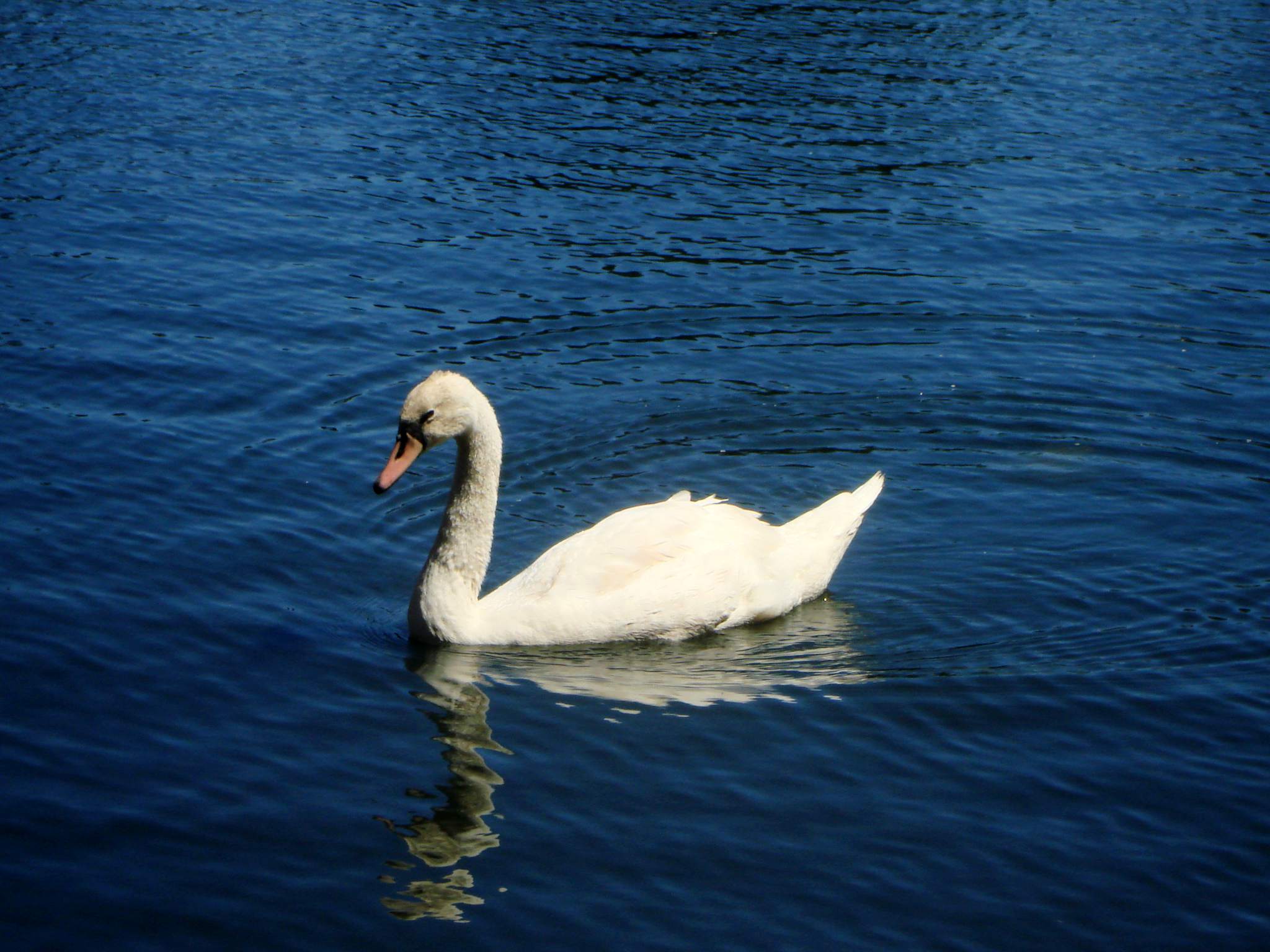 DSC04401.JPG