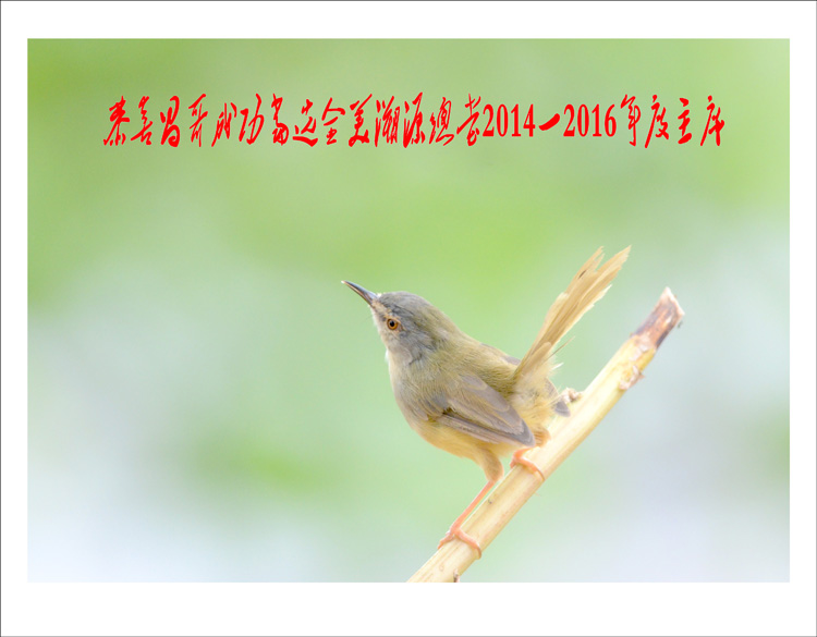 DSC_3186_conew2.jpg
