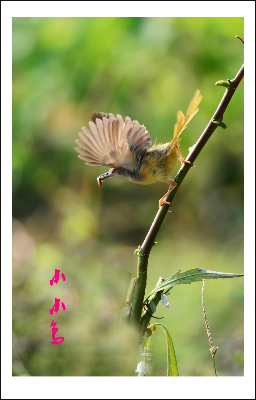 DSC_5813_conew2.jpg