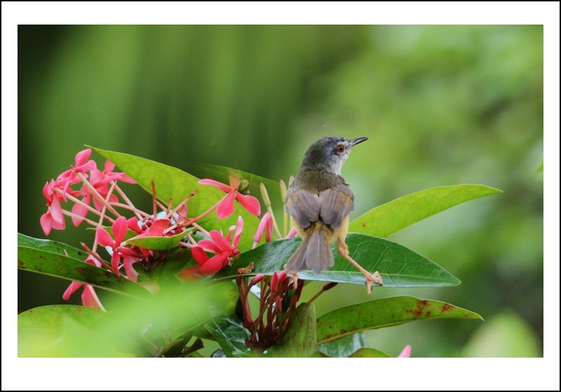 DSC_7347_conew1.jpg