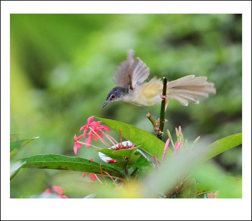 DSC_7659_conew1.jpg