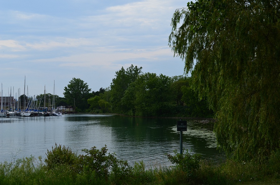 DSC_1529.JPG