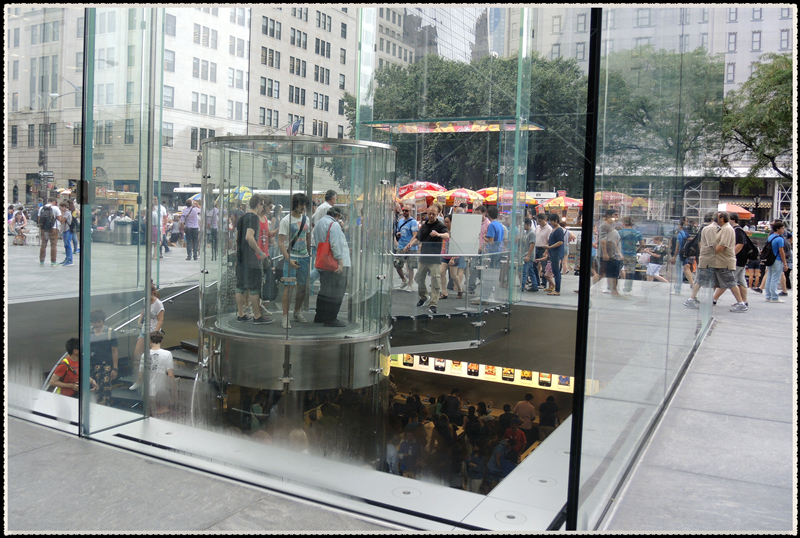 DSCN8108.jpg