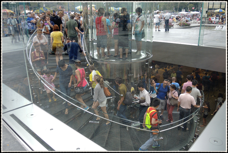 DSCN8109.jpg