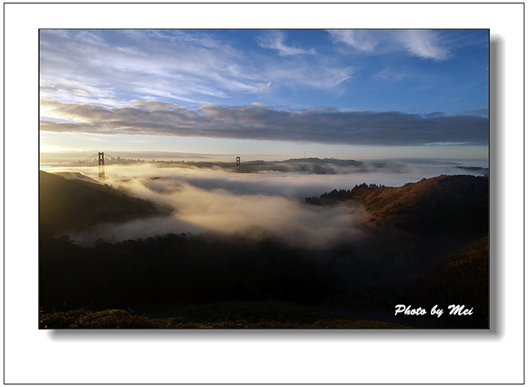 zz9.jpg