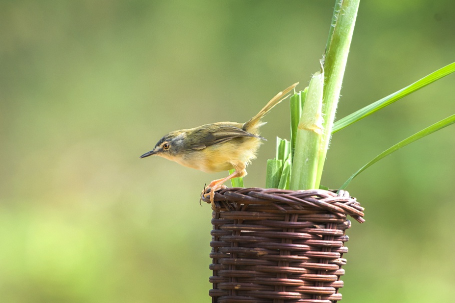 DSC_7605.jpg