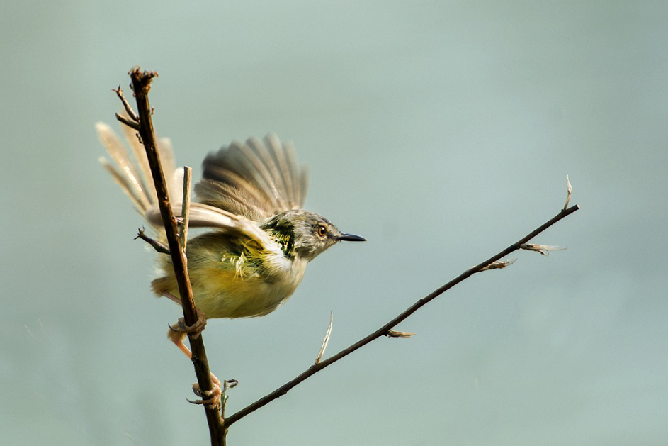DSC_4196.jpg