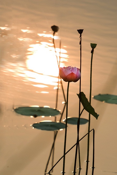 DSC_9628.jpg