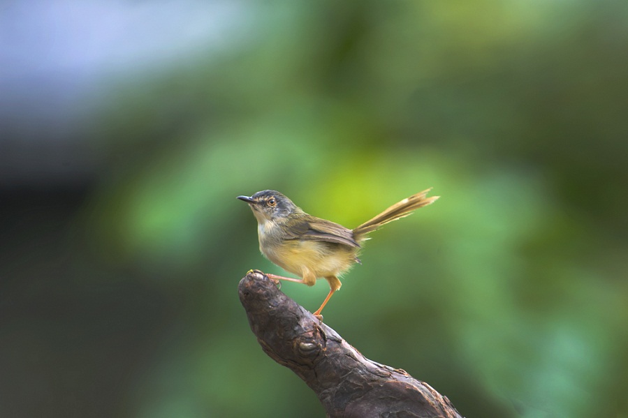 DSC_6844.jpg