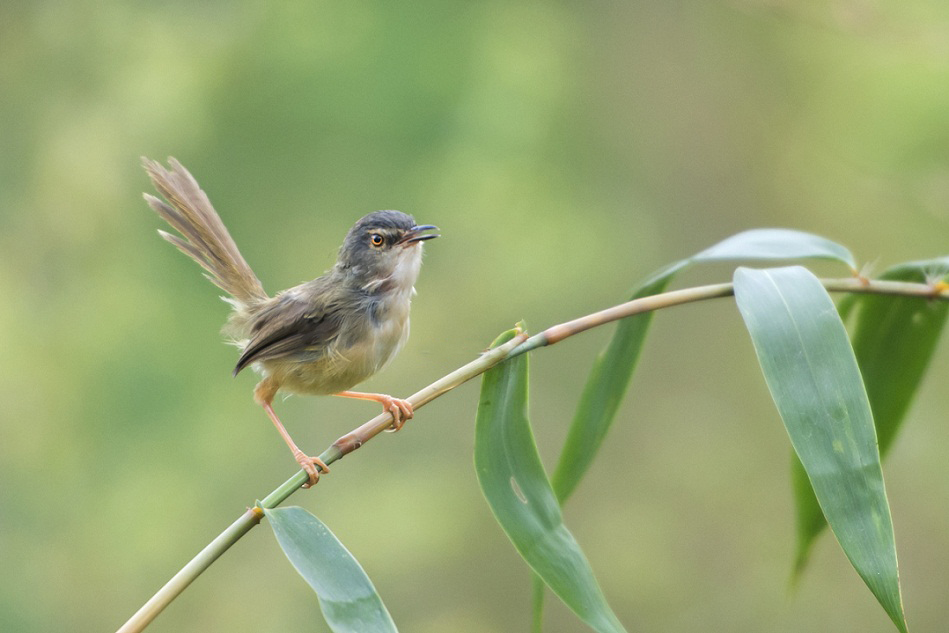 DSC_3943.jpg