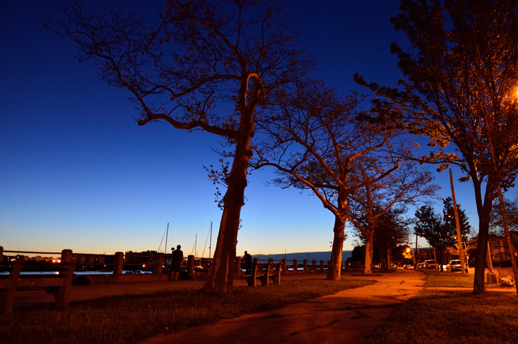 DSC_5196.jpg