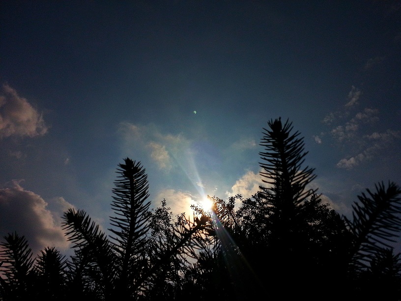 20130828_105359_conew1.jpg
