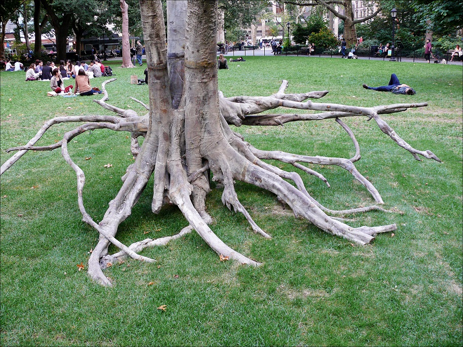 l1060276_conew1.jpg