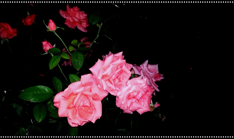 20130827_225454_conew1.jpg