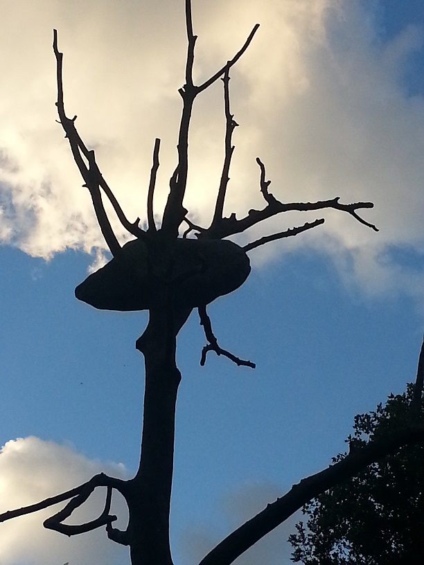20130928_181039.jpg