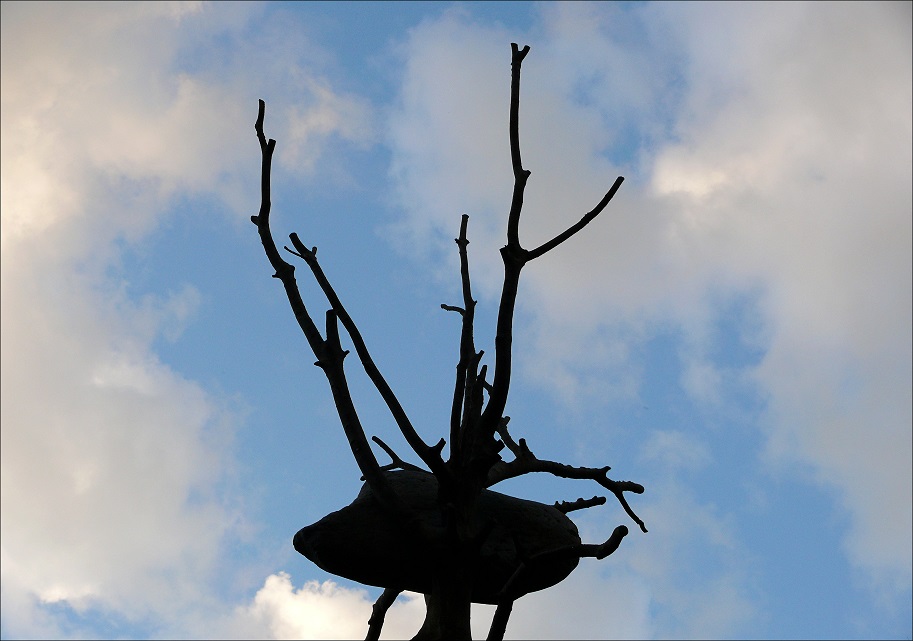 l1060278_conew1.jpg
