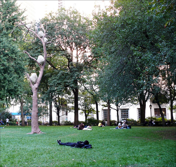 l1060266_conew1.jpg