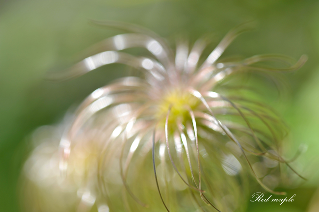 DSC_2575_����.png