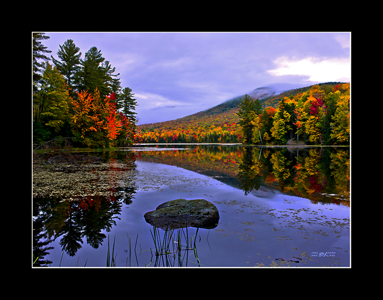 DSC_6050C.jpg