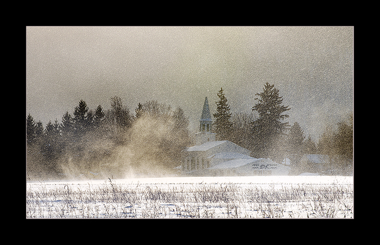 DSC_7671C.jpg