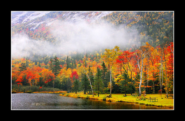 Fall in White Mountain.jpg