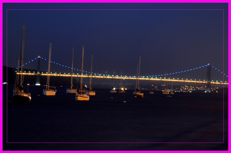 DSC_0396.jpg