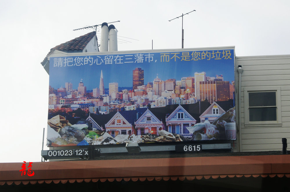 IMGP5308.jpg