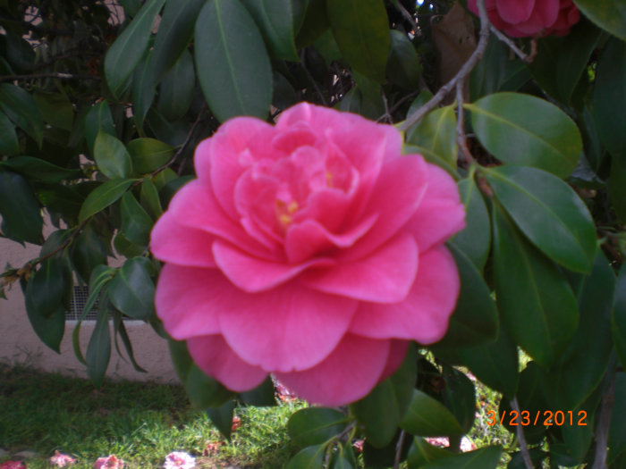 2012_07170495.JPG