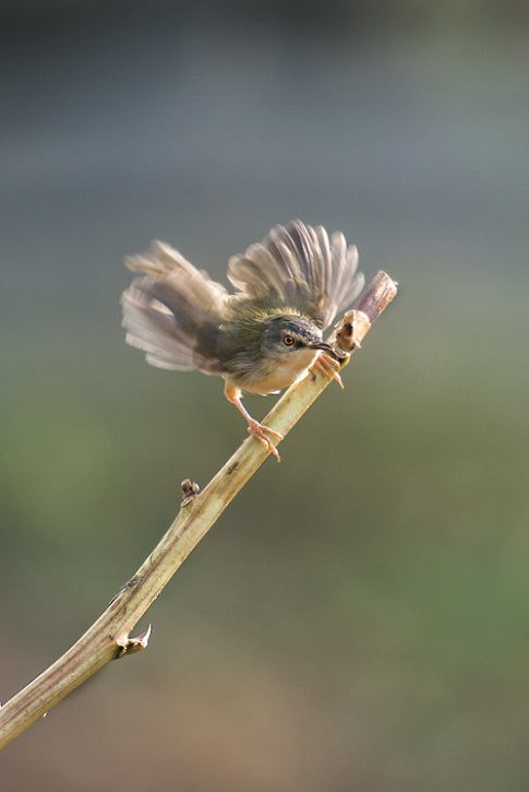 DSC_6092.jpg