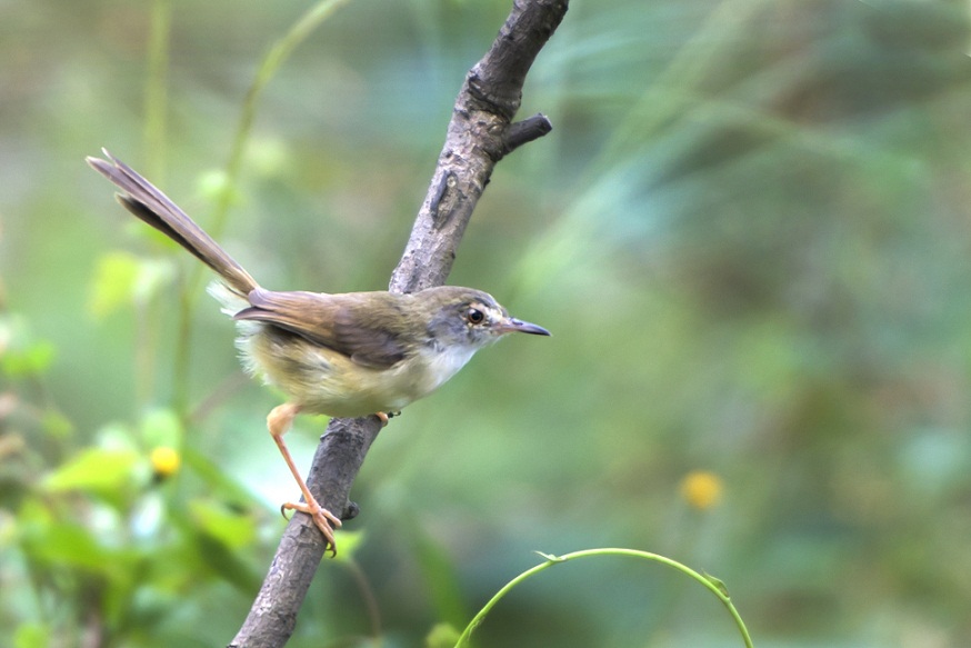 DSC_0482.jpg