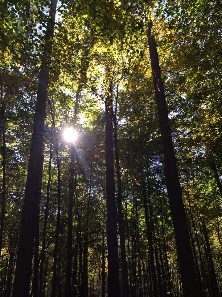 crawford lake.jpg