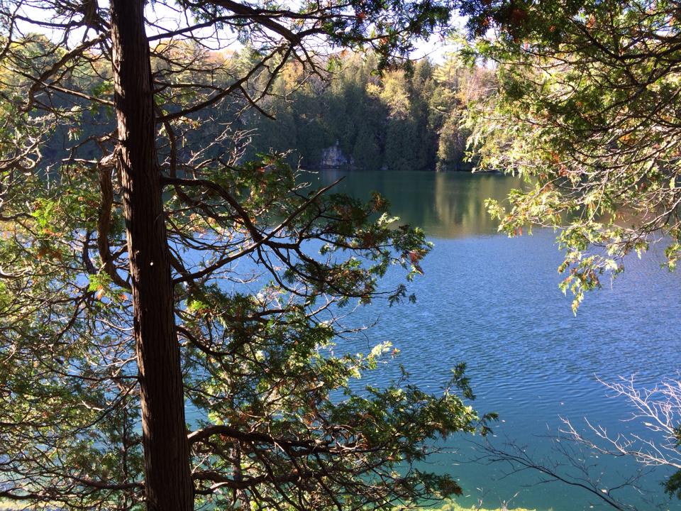 crawford lake4.jpg