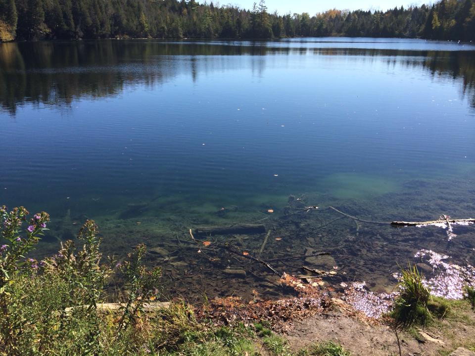crawford lake5.jpg