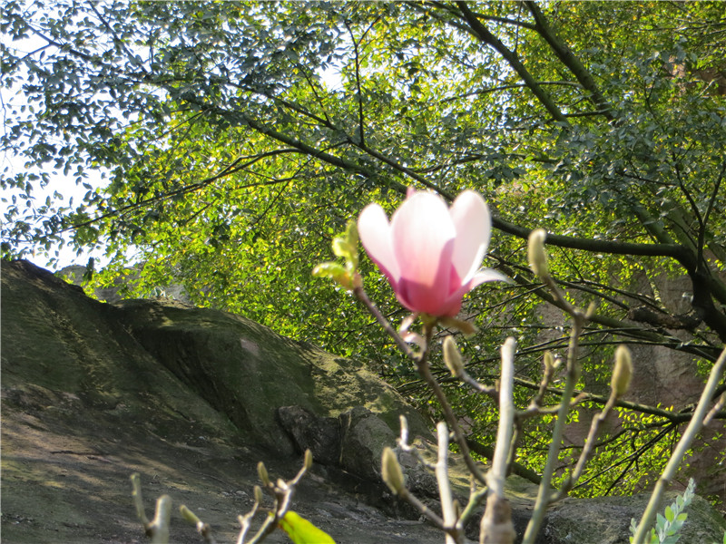 IMG_4216.jpg