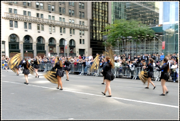 DSCN9222.jpg