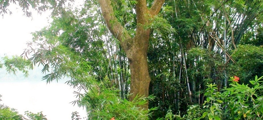 DSC00722.JPG