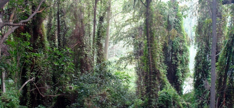 DSC00705.JPG