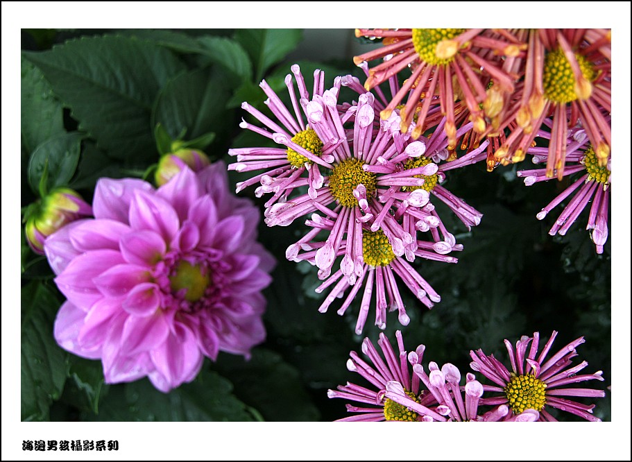 IMG_7281_conew1.jpg