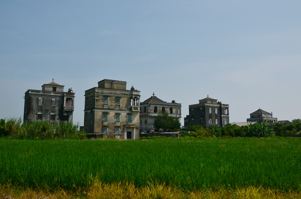 DSC_2603.jpg