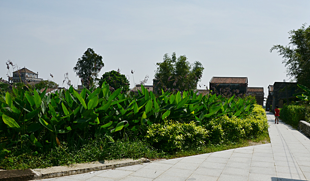 DSC_2600.jpg