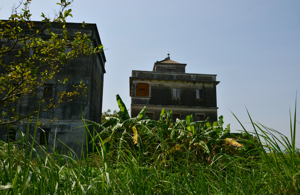 DSC_2590.jpg
