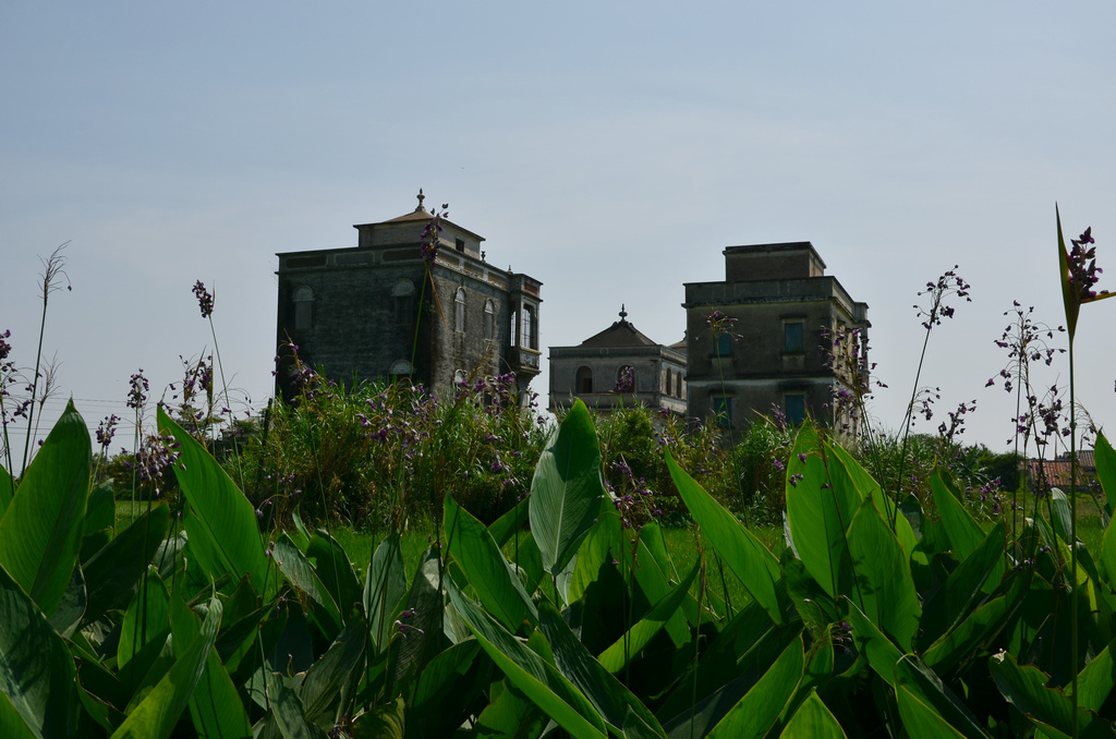 DSC_2610.jpg