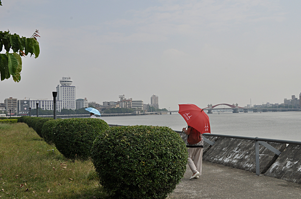 DSC_4306.jpg