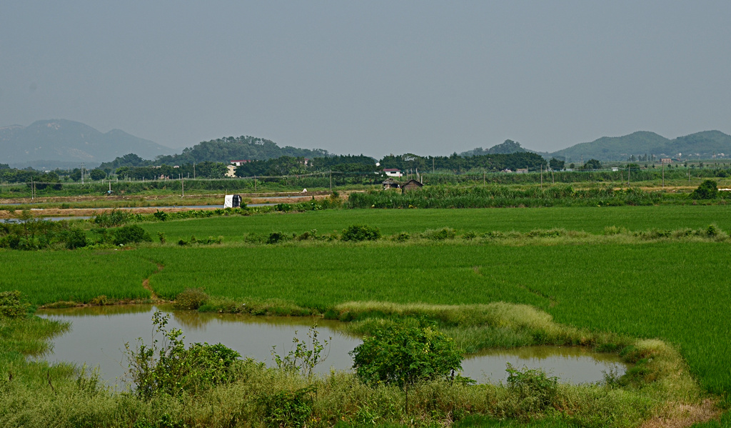 DSC_2632.jpg